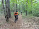 Rolling on the Deer (flies) Trail
